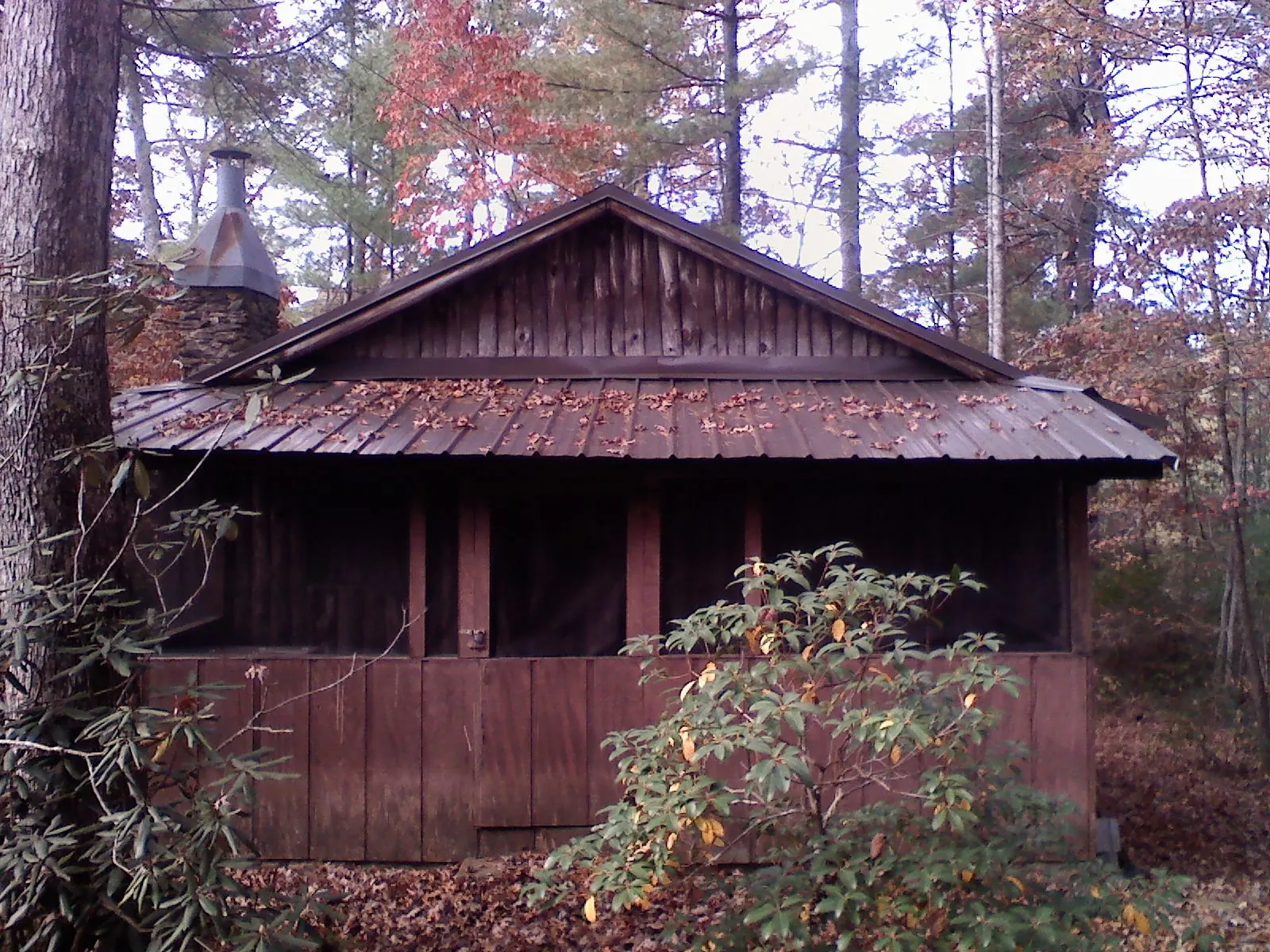 Metal roof over the screened porch of a rustic cabin in Lakeville
